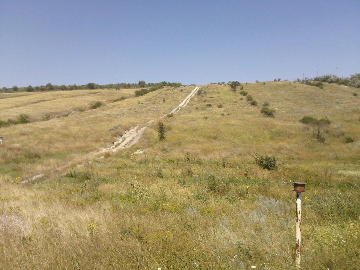 Новосветловка, image of landscape/habitat.