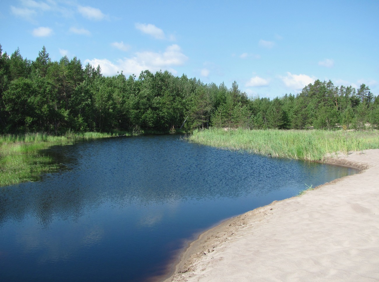 Солза, image of landscape/habitat.