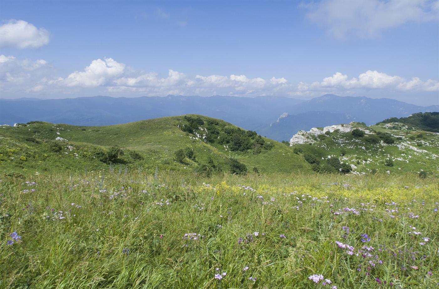 Черногор, image of landscape/habitat.