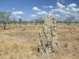 Karumba и окрестности, image of landscape/habitat.