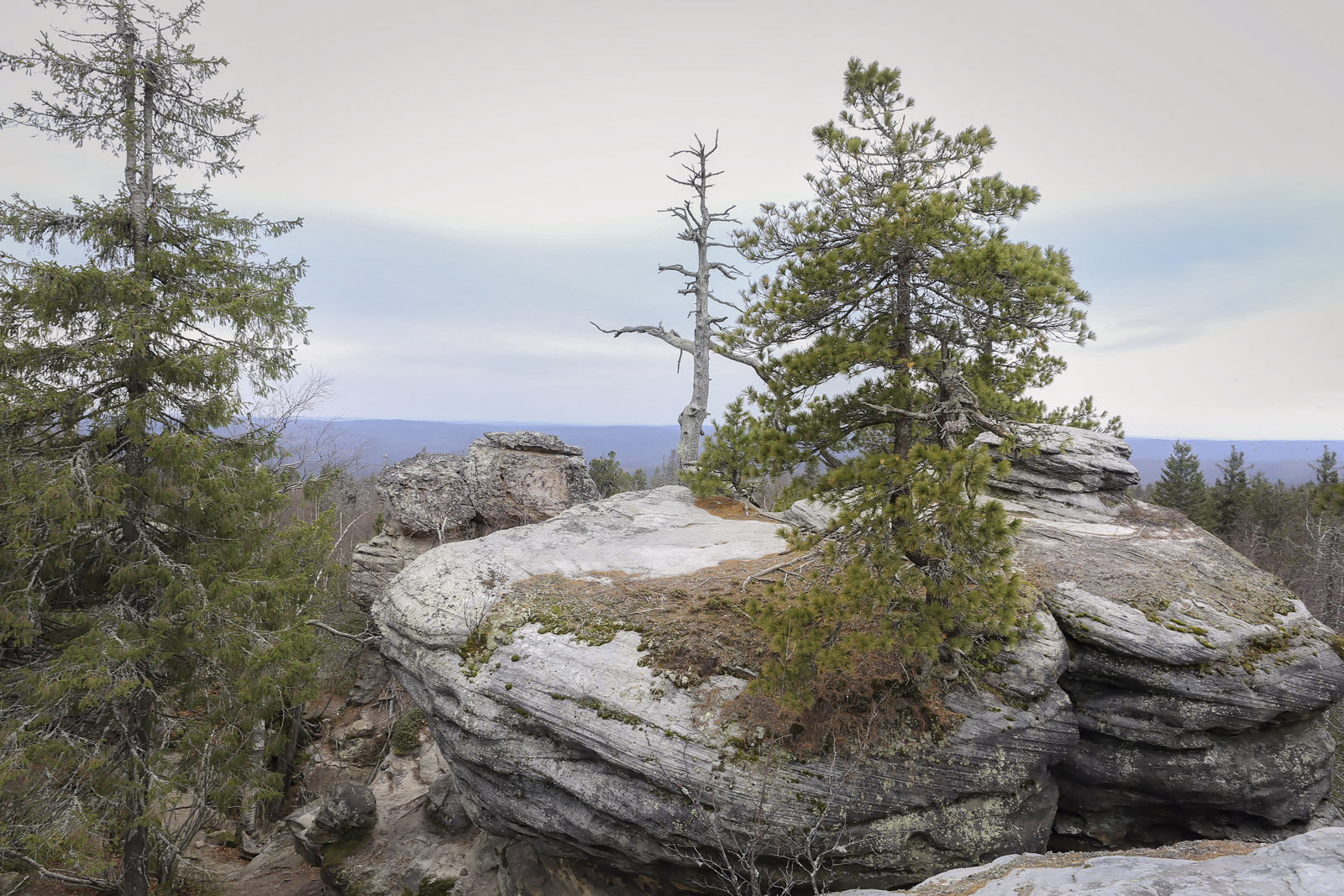 Каменный Город, image of landscape/habitat.