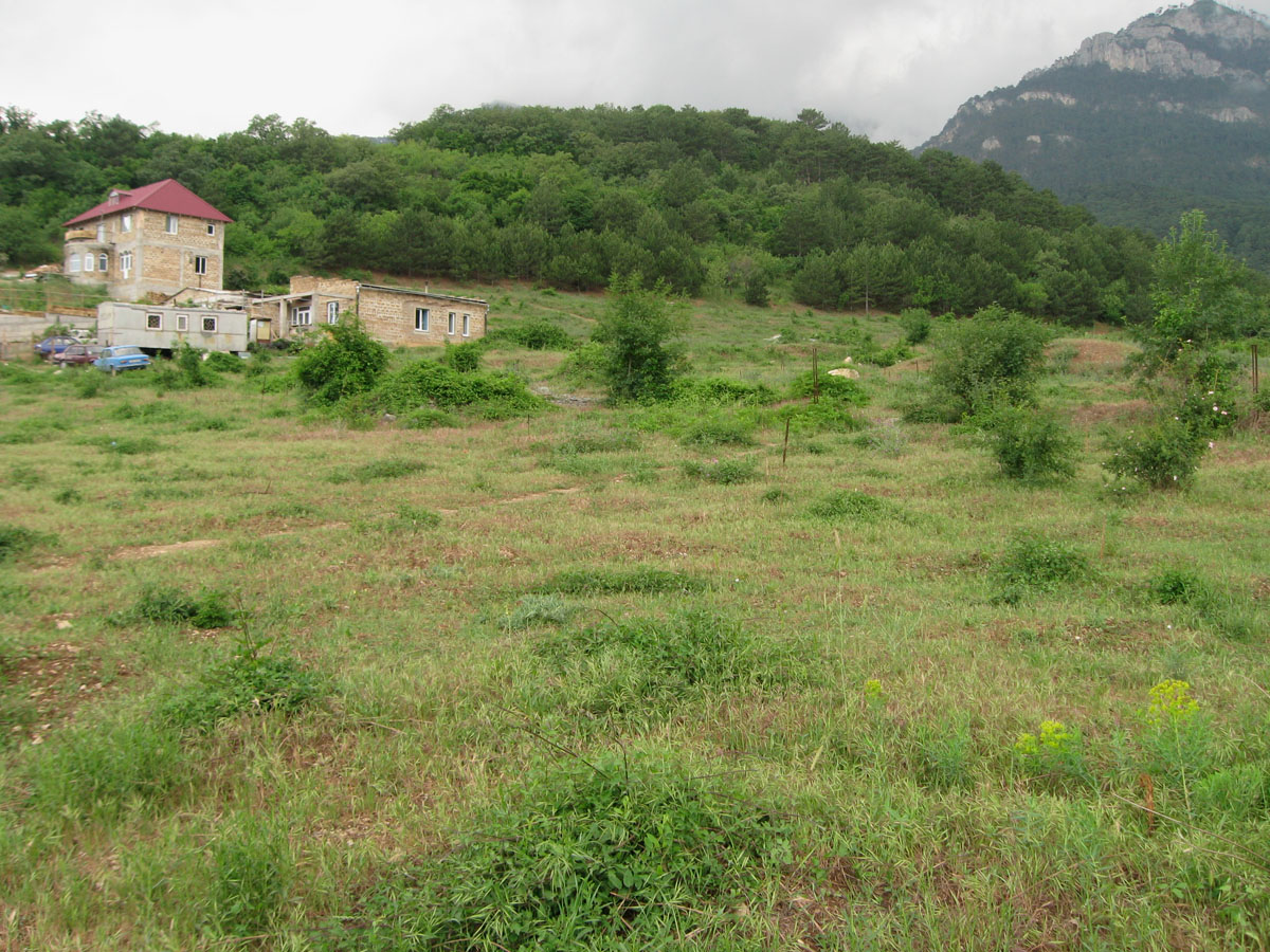 Ялта и окрестности, image of landscape/habitat.