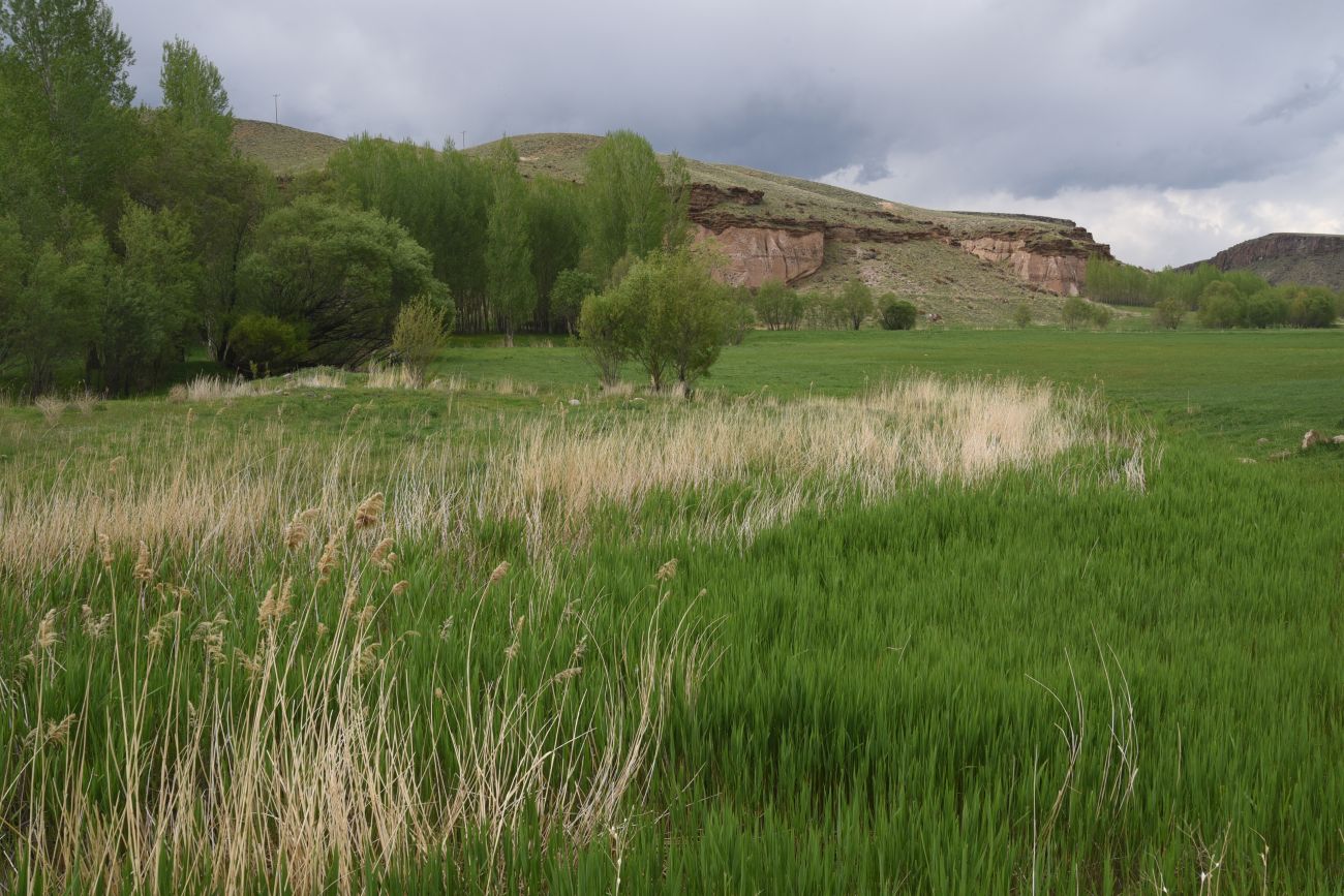1 км от Ванадокии, image of landscape/habitat.