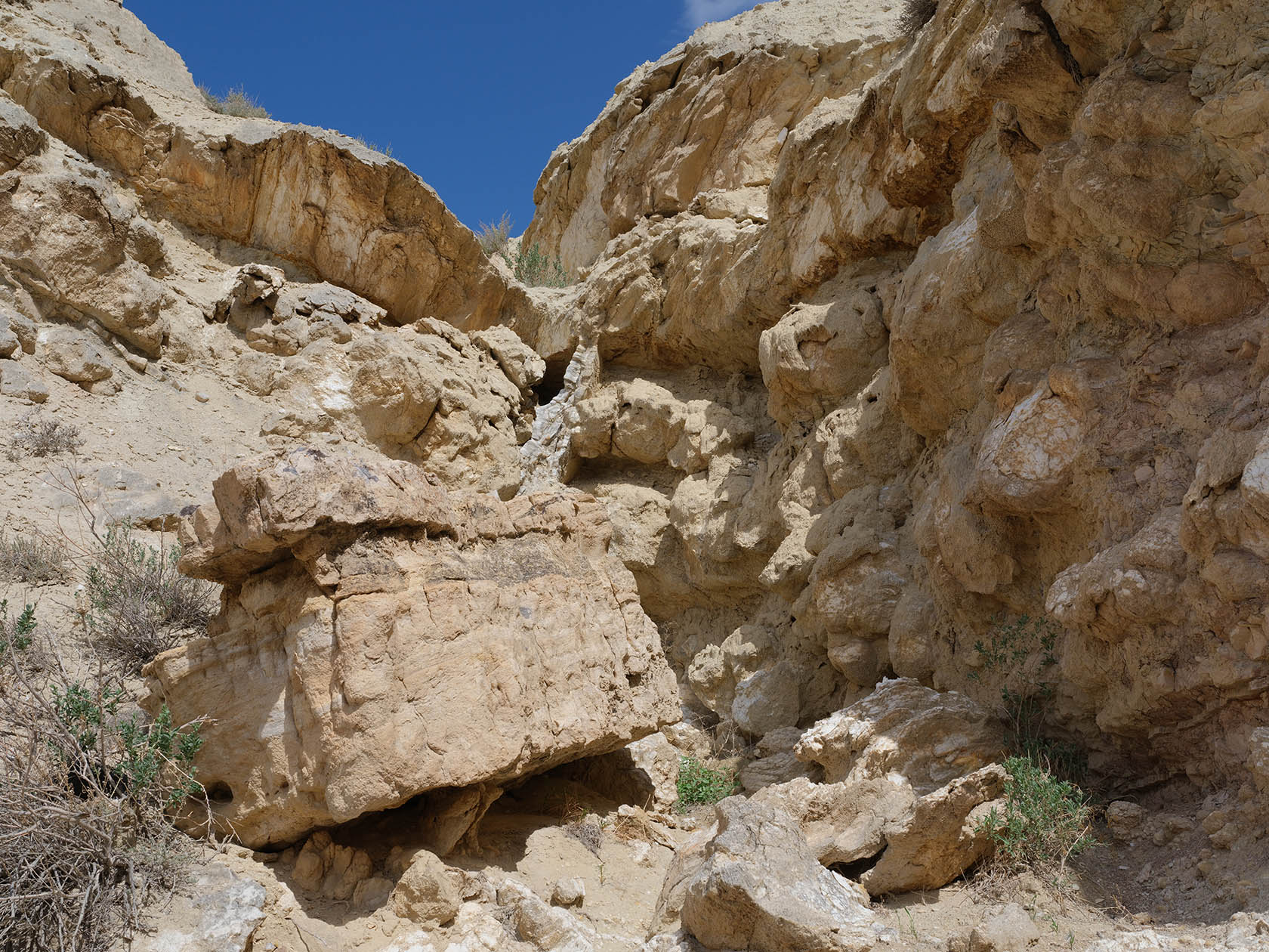 Мадыген, image of landscape/habitat.
