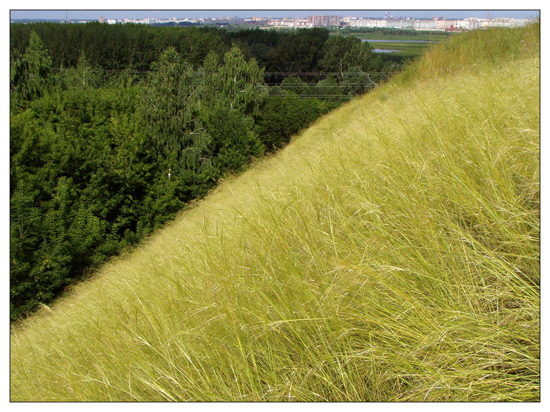Немецкая Швейцария, image of landscape/habitat.