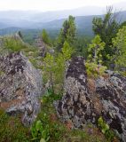 Семинский перевал, image of landscape/habitat.