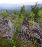 Семинский перевал, изображение ландшафта.