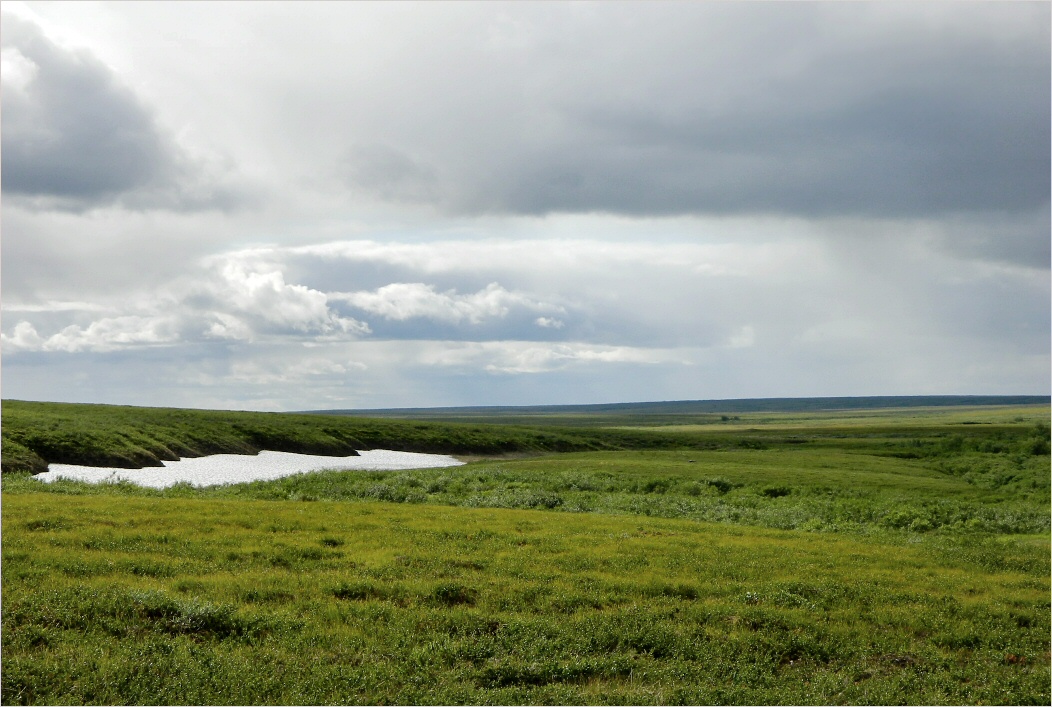 Юнковож, image of landscape/habitat.