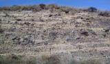 Image of landscape