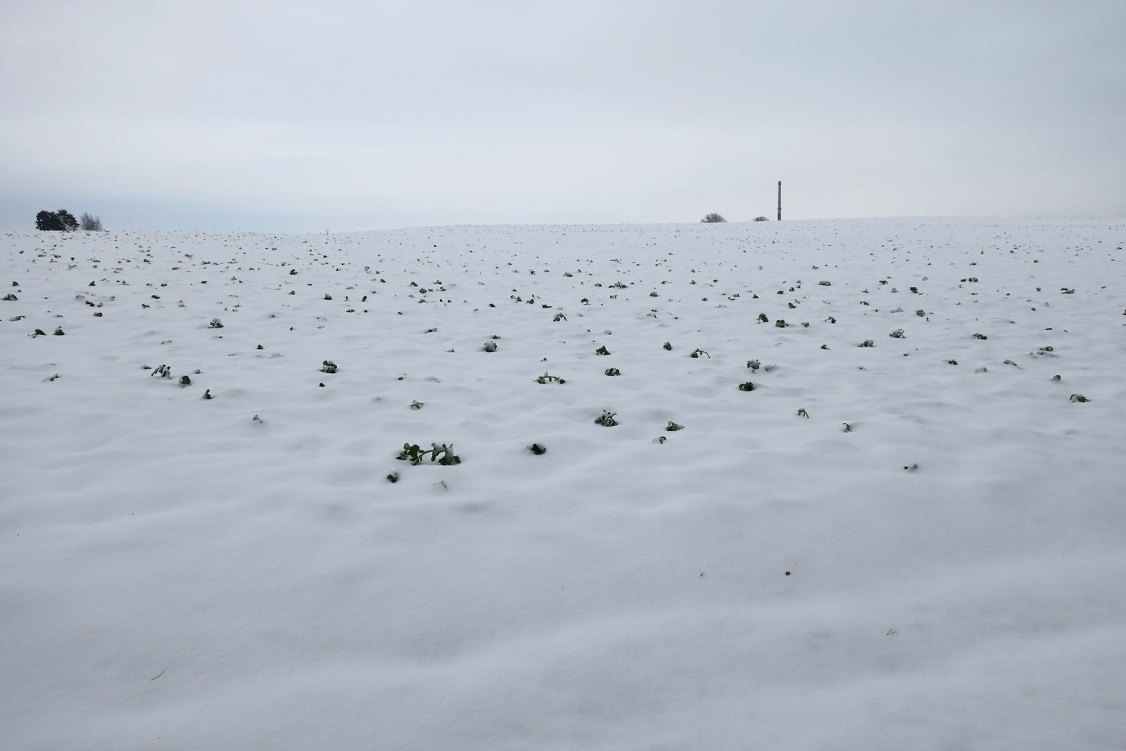 Гродно, изображение ландшафта.