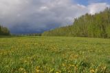 Окрестности деревни Чёлохово, image of landscape/habitat.