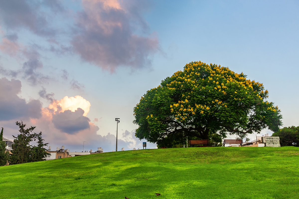 Бат-Ям и окрестности, image of landscape/habitat.