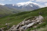 Image of landscape