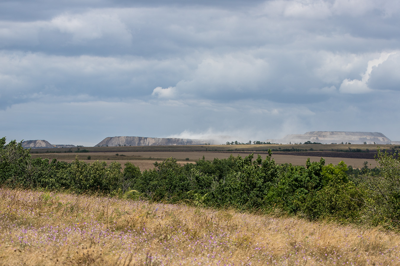 Балка Ясеновская, image of landscape/habitat.