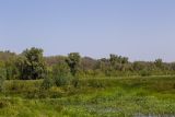 Image of landscape