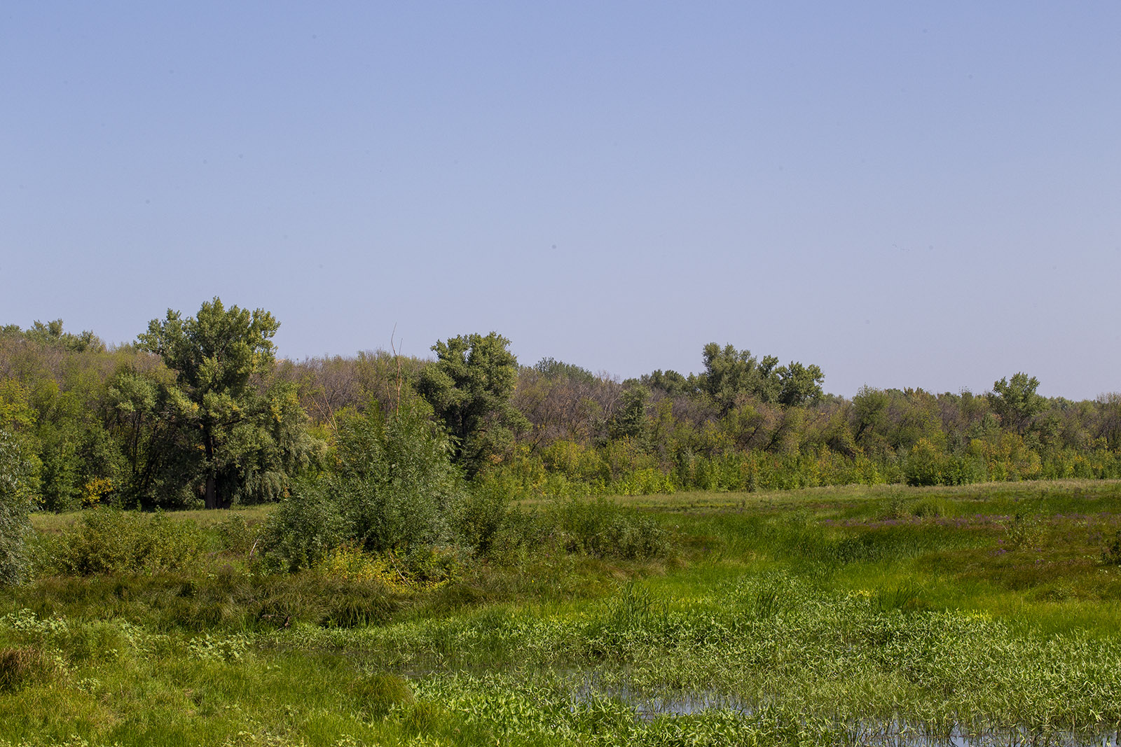 ПП "Волго-Ахтубинская пойма", image of landscape/habitat.