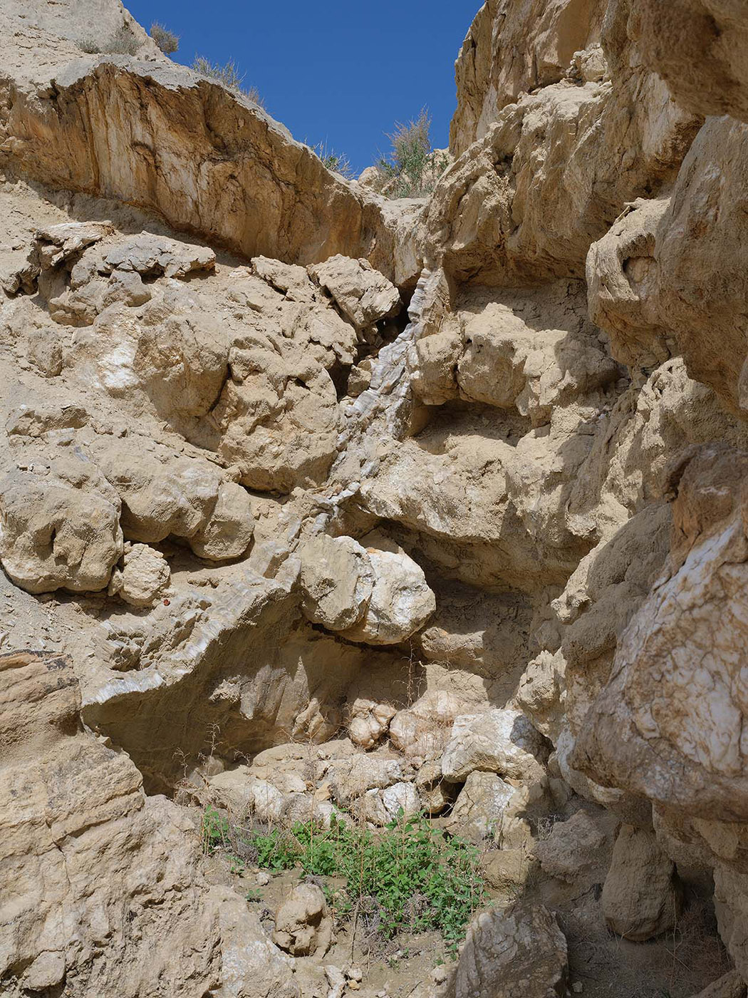 Мадыген, image of landscape/habitat.