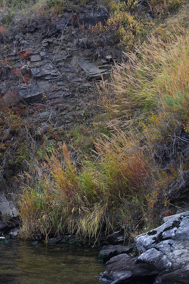 Порт Байкал, image of landscape/habitat.