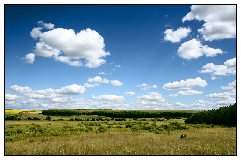 Шланга, image of landscape/habitat.