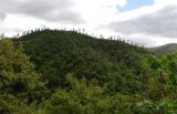 Image of landscape