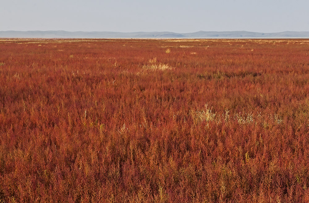 Уточи, image of landscape/habitat.