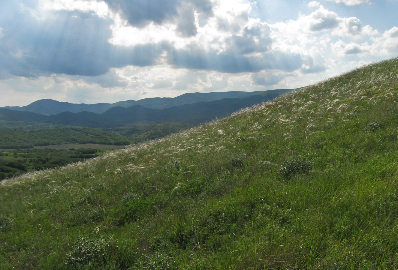 Армутлук, image of landscape/habitat.