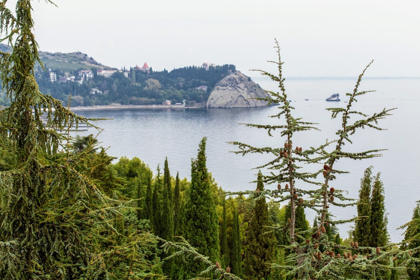 "Айвазовское", image of landscape/habitat.