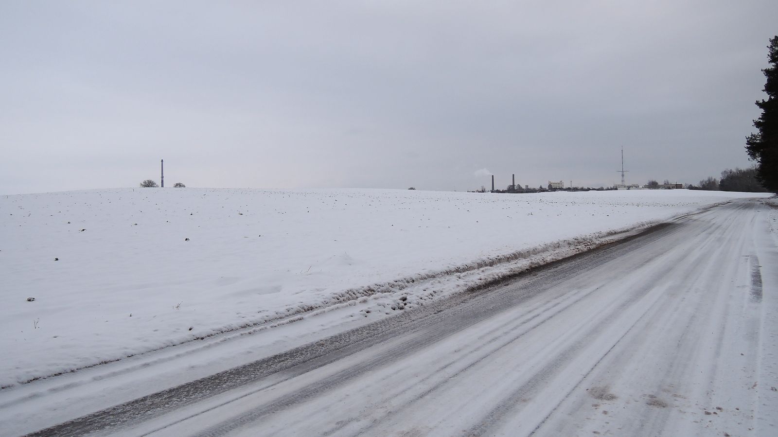 Лесопарк Пышки, image of landscape/habitat.