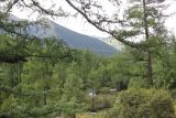 Image of landscape