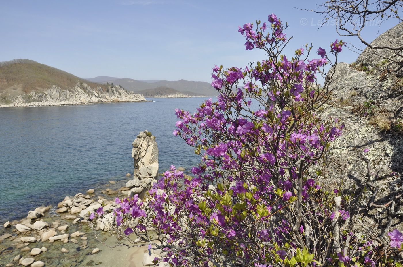 Окрестности бухты Ежовая, image of landscape/habitat.