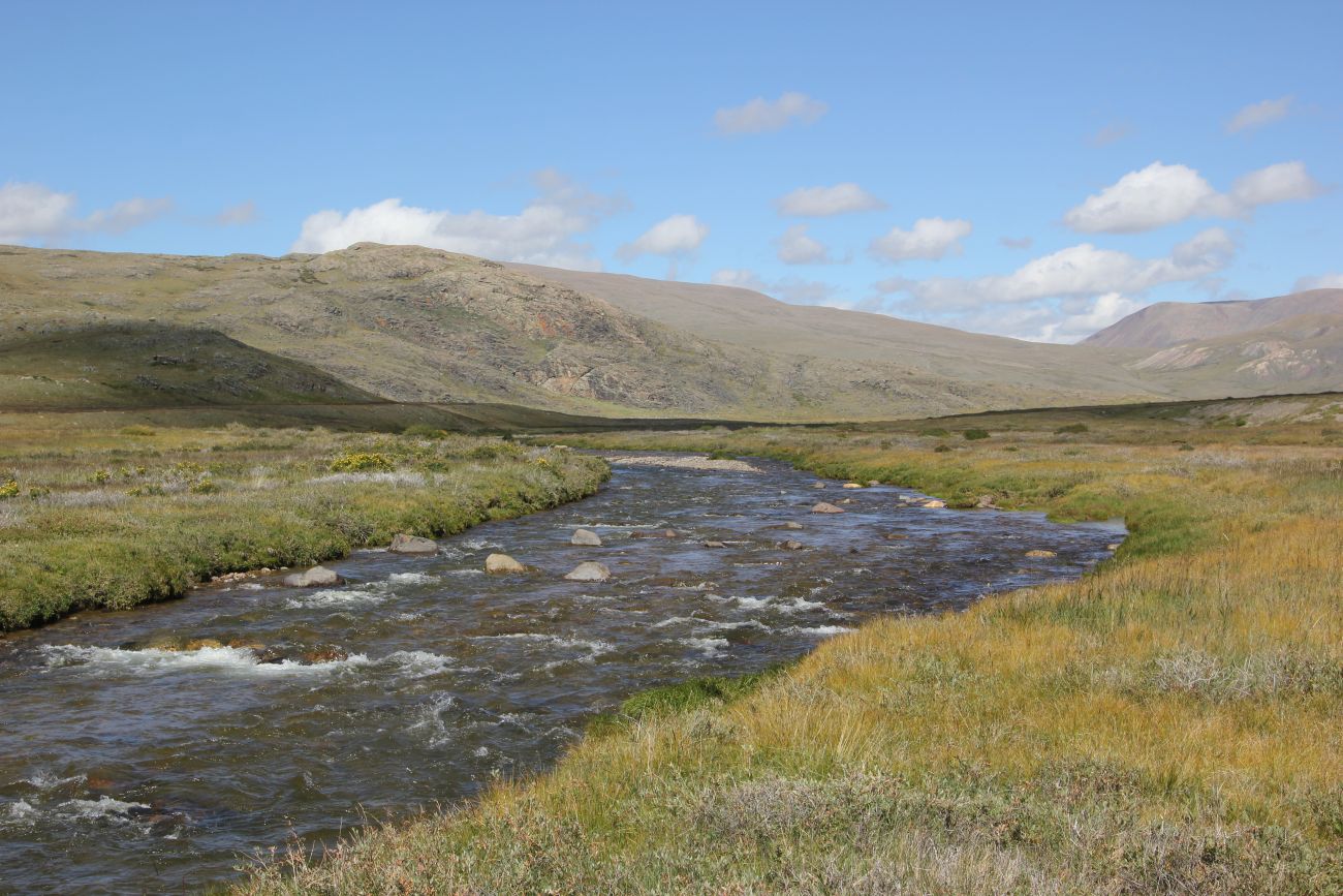 Окрестности стоянки Аргамджи, image of landscape/habitat.