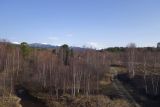 Image of landscape