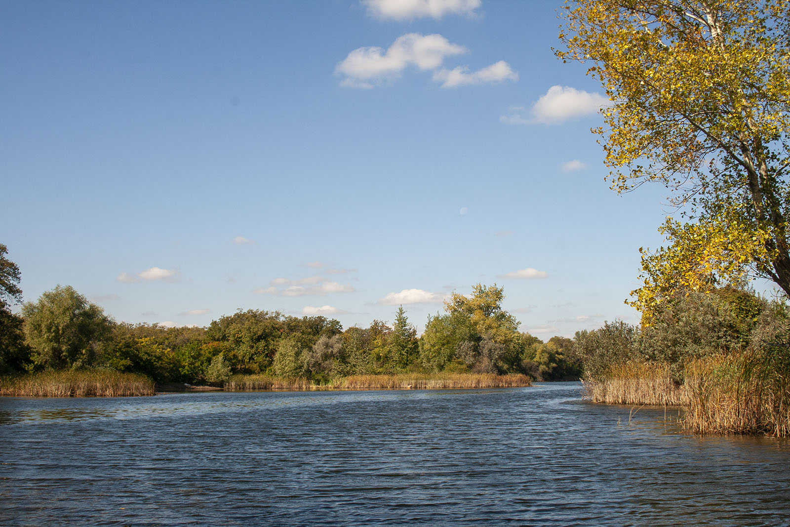 ПП "Волго-Ахтубинская пойма", image of landscape/habitat.