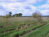 Image of landscape