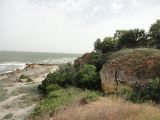 Image of landscape