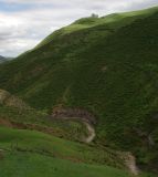 Image of landscape