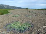 Арманское побережье, image of landscape/habitat.