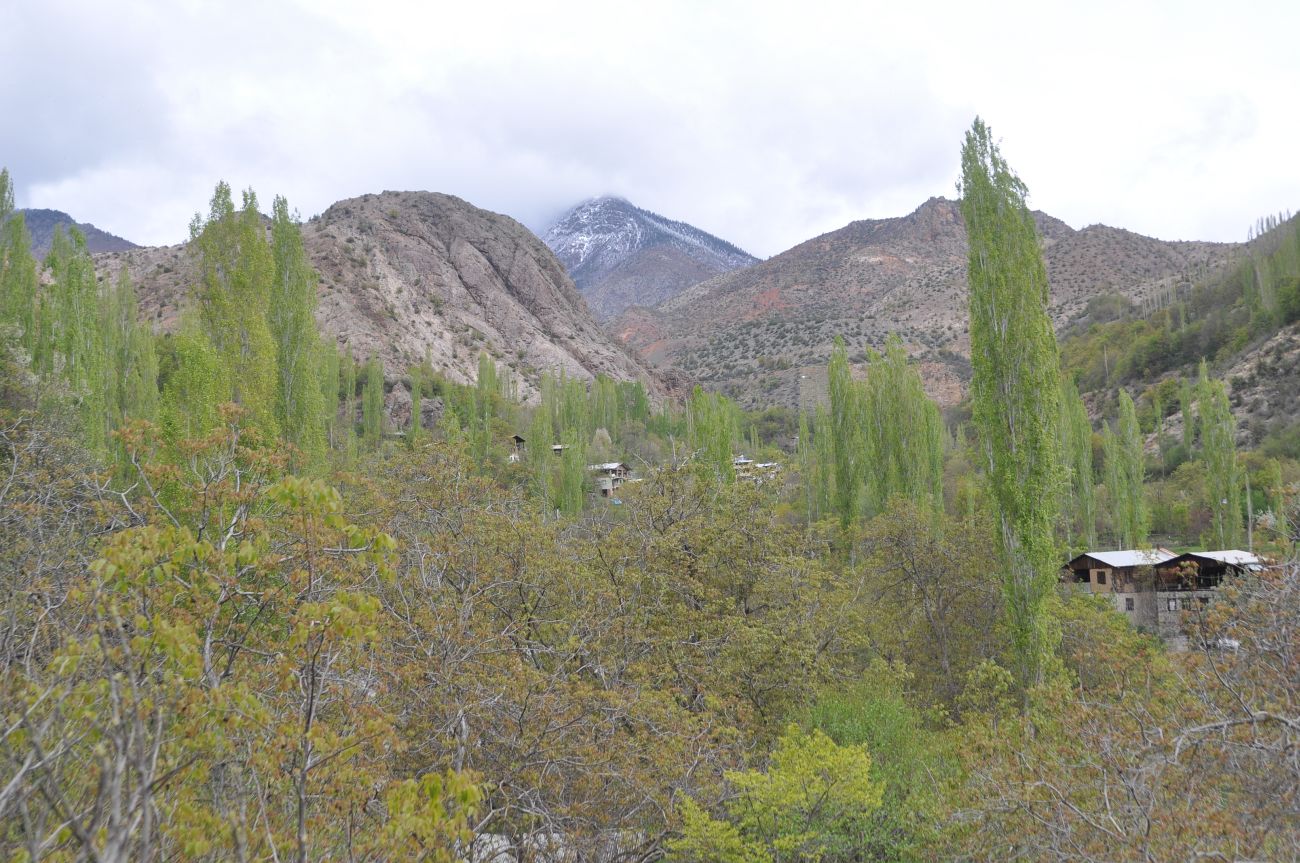 Окрестности крепости Петерек, image of landscape/habitat.