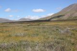 Окрестности стоянки Аргамджи, image of landscape/habitat.