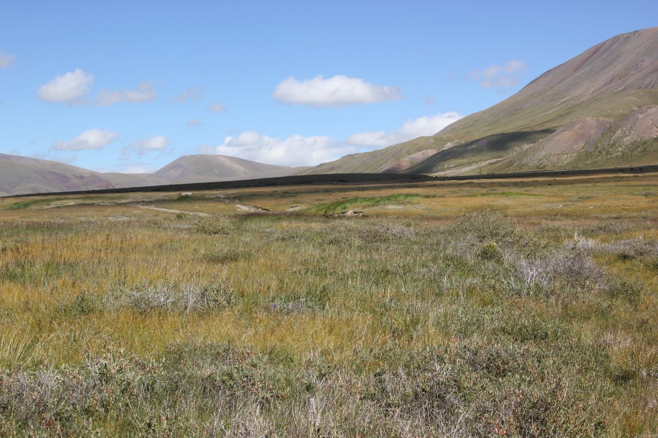 Окрестности стоянки Аргамджи, image of landscape/habitat.