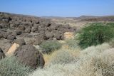 Майл Сердо, image of landscape/habitat.