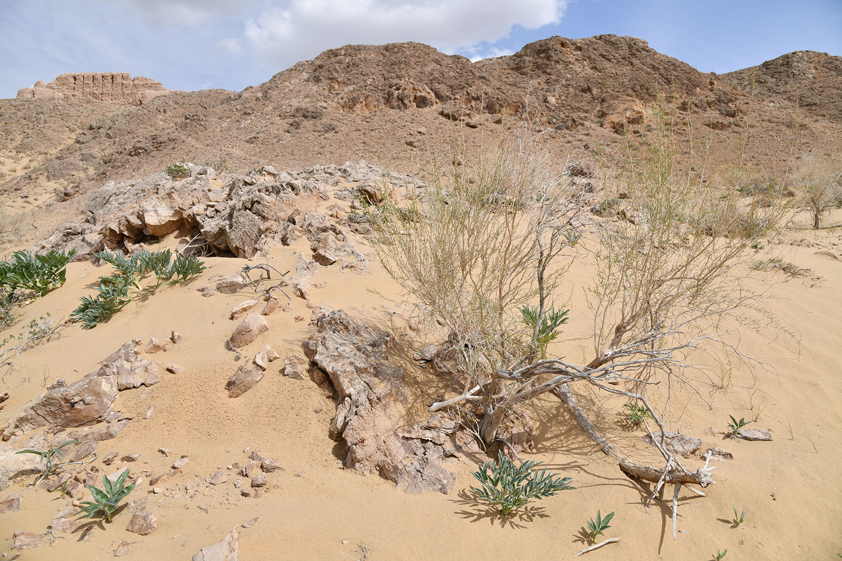 Аяз-Кала, image of landscape/habitat.