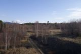 Image of landscape