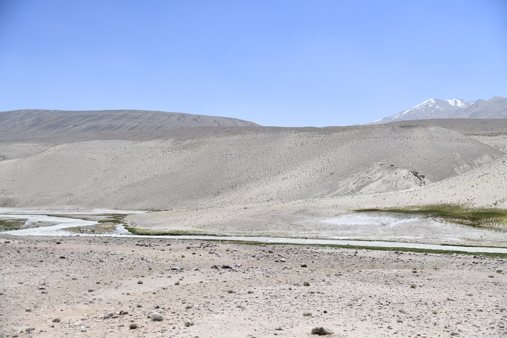 Памир, image of landscape/habitat.