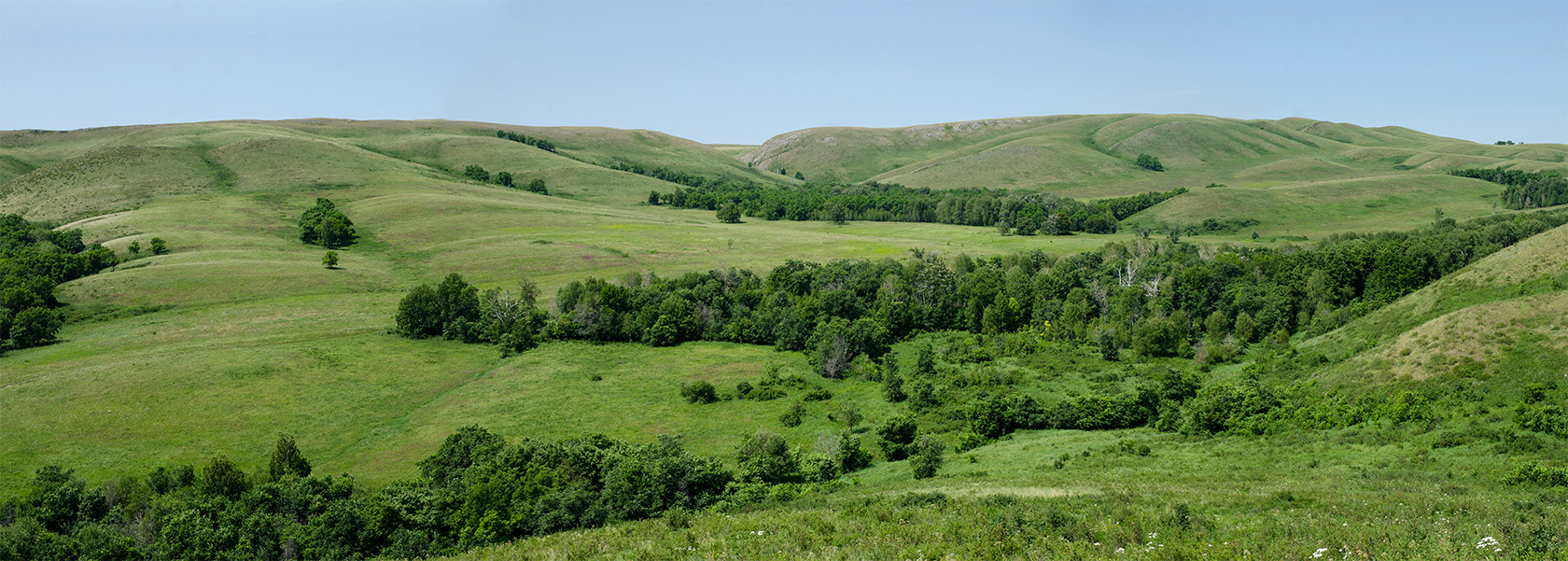 Султанбаево, image of landscape/habitat.
