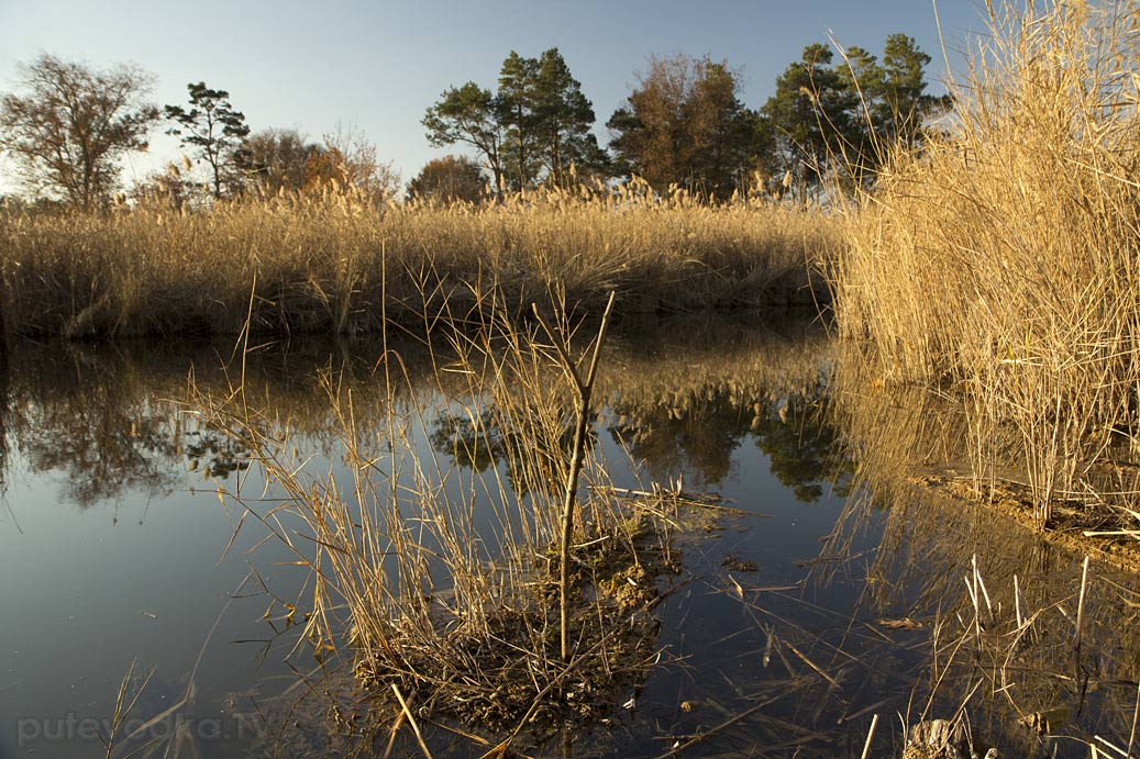 Гулькевичи и окрестности, image of landscape/habitat.