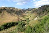 Image of landscape