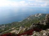 Image of landscape
