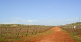 Самария, image of landscape/habitat.