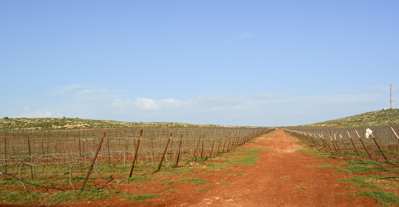 Самария, image of landscape/habitat.